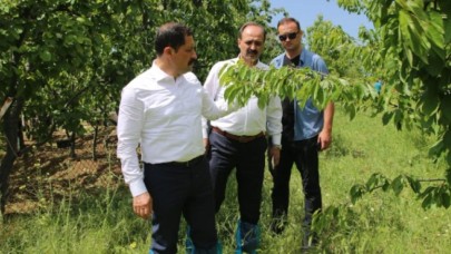 HASAR TESPİT ÇALIŞMALARI BAŞLADI