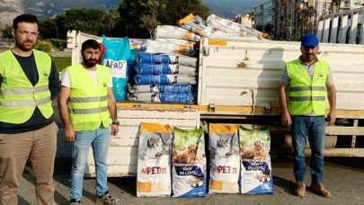 HATAY'DA