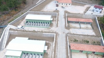 HAYVAN BARINAĞI, AÇILIŞA HAZIRLANIYOR
