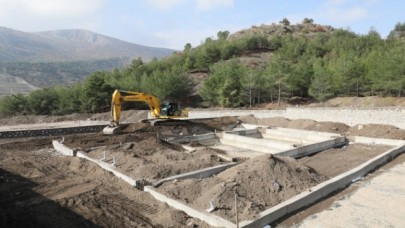 HAYVAN BARINAĞINDA HUMMALI ÇALIŞMA