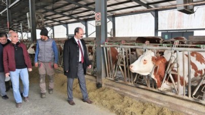 HAYVANCILIK İŞLETMESİNE ZİYARETTE BULUNDU