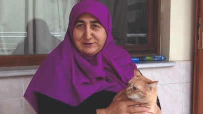 HER SABAH YOLUNU GÖZLEYEN KEDİLERİ ELLERİYLE BESLİYOR