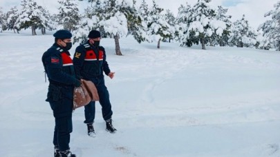 JANDARMA VE POLİS CAN DOSTLARI İÇİN SEFERBER OLDULAR