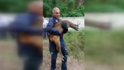 KANALA DÜŞEN KARACA’YI VATANDAŞLAR KURTARDI