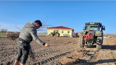 KARATEPE KÖYÜNDE KUŞBURNU FİDANI DİKİLDİ