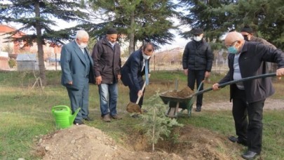 KAYMAKAM GÜLDOĞAN, TEMA’YI TEBRİK ETTİ, FİDAN DİKTİ