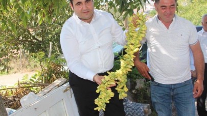 KAYMAKAM KÖYLÜYE BAMYA MÜJDESİNİ VERDİ