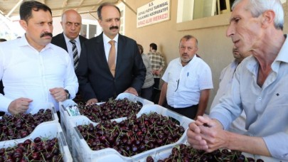 KİRAZ ALIM MERKEZİNDE İNCELEMELERDE BULUNDU