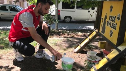 KIZILAY SOKAK HAYVANLARININ DA YANINDA
