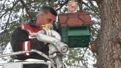 KUŞ EVLERİ ile MİNİK DOSTLARA  SICAK BİR YUVA OLUŞTURULUYOR