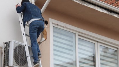 MAHSUR KALAN KEDİYİ ESNAF KURTARDI