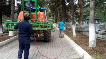 MERZİFON BELEDİYESİ’NDEN İLAÇLAMA UYARISI