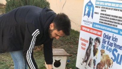 MERZİFON ÜLKÜ OCAKLARI SOKAK HAYVANLARINA MAMA BIRAKTI