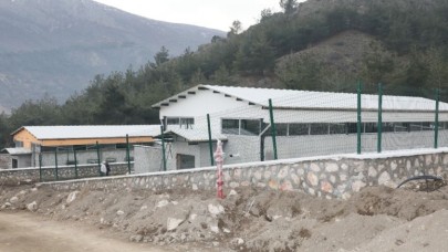 MODERN HAYVAN BARINAĞI AÇILIŞ İÇİN GÜN SAYIYOR