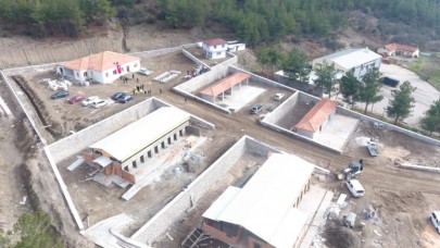 MODERN HAYVAN BARINAĞINDA SONA GELİNDİ