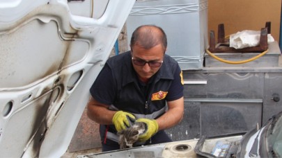 MOTORA SIKIŞAN KEDİYİ İTFAİYE KURTARDI