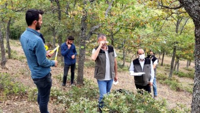 ORMAN ENVANTERİ ÖLÇÜMLERİ DEVAM EDİYOR