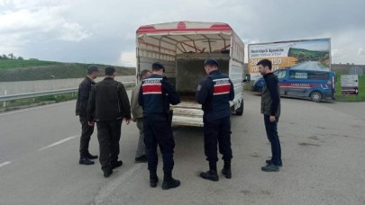Orman Suçlarına Geçit Yok