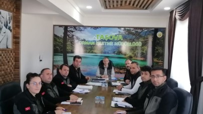 ORMANLAR GENÇLEŞİYOR VE GÜZELLEŞİYOR