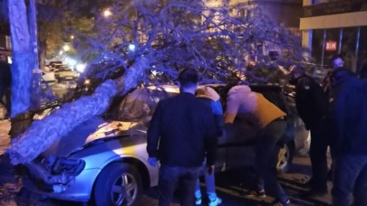 OTOMOBİL AĞACA ÇARPTI: 4 YARALI