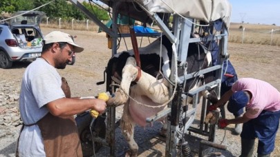 PERİYODİK TIRNAK BAKIMLARI DEVAM EDİYOR