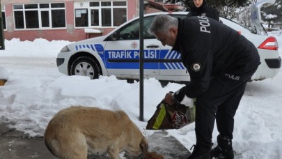 POLİS EKİPLERİNDEN SOKAK HAYVANLARINA MAMA DESTEĞİ