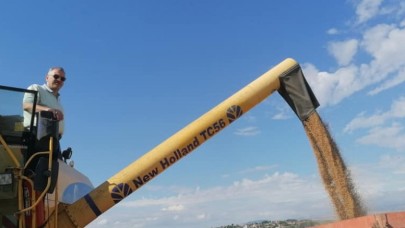 REKOLTE DE FİYATLARDA ÇOK GÜZEL