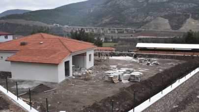 SARI: SOKAK HAYVANLARI İÇİN  BARINAK DEĞİL OTEL YAPIYORUZ