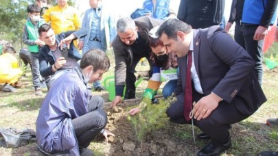 “Sevgiyle Yeşeren Fidanlar” Projesi