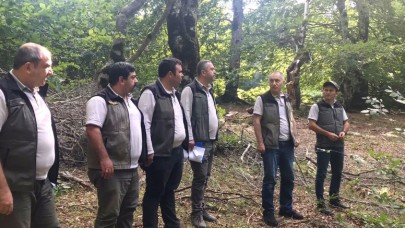 SİLVİKÜLTÜR BAKIMLARI ORMANLARA NEFES OLUR
