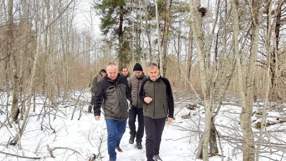SİLVİKÜLTÜREL BAKIM ÇALIŞMALARI DEVAM EDİYOR