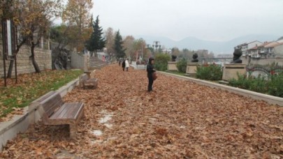 SONBAHAR KARELERİ İÇİN YAPRAKLAR TOPLANMADI
