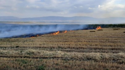 SULUOVA’DA 15 DÖNÜM ARAZİ YANDI