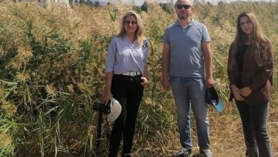 TARIMDA “İSTİLACI TÜRLER” ÜZERİNE YAPILAN TÜBİTAK PROJESİ TAMAMLANDI