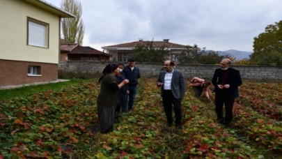 TEŞVİK VE DESTEK MEYVELERİNİ VERİYOR