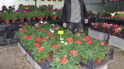 TEZGAHLARA BAHAR GELDİ