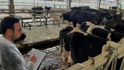 TİP SINIFLANDIRMA ÇALIŞMALARI DEVAM EDİYOR