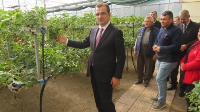 TOPRAKSIZ TARIM SERASINDA İNCELEMELERDE BULUNDU