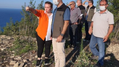 ÜLKEMİZİ FİDANLARLA DONATACAĞIZ