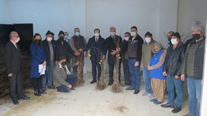 ÜRETİCİLERE KUŞBURNU FİDANI DAĞITILDI