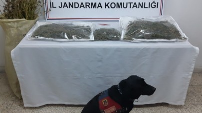 UYUŞTURUCU OPERASYONUNDA YAKALANAN ZANLI TUTUKLANDI
