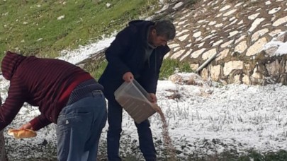 YABAN HAYATINA YEM DESTEĞİ