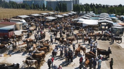 YENİ HAYVAN PAZARI HİZMETE GİRDİ