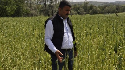 “YÜKSELEN YEM  FİYATLARI ÜRETİMİ  ZORA SOKTU”