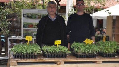 ZİRAAT ODASI FİDE SATIŞINA BAŞLADI