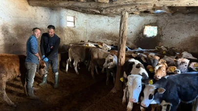 Kızıleğrek’te Hayvan Tespiti ve Kontrolleri Yapıldı
