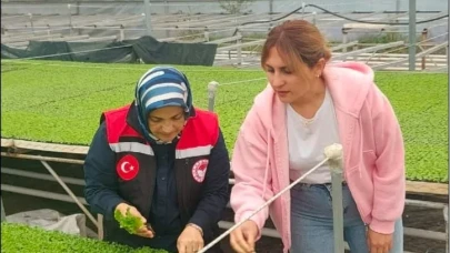 Amasya’da Tohumluk ve Fide Denetimleri Aralıksız Sürüyor