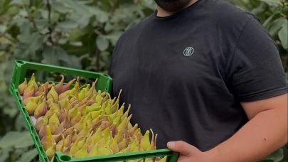 Amesia Gıda’dan Sözleşmeli Tarım