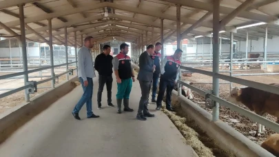Suluova’da Hayvancılığa Katma Değer Katan Ziyaret