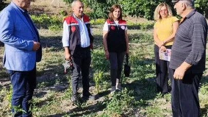 Merzifon Hırka Köyü’nde Hasar Tespit Çalışması Gerçekleştirildi